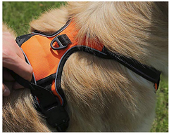Dog Harness No Pull Pet Harness Adjustable Reflective Vest 100% Oxford Strong L