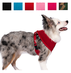 Dog Pet Control Harness Soft Mesh Walk Collar Safety Strap Vest Puppy Cat XS S M