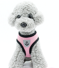 Soft Dog Pet Harness Breathable Comfortable Many Colors Puppy S M Black Red Blue
