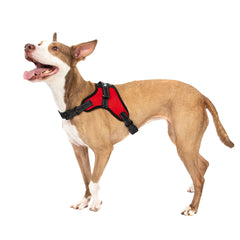 No Pull Adjustable Dog Pet Vest Harness Quality Nylon XS S M L XL XXL Extra Larg