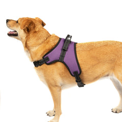 No Pull Dog Pet Harness Adjustable Control Vest Dogs Reflective XS S M Large XXL