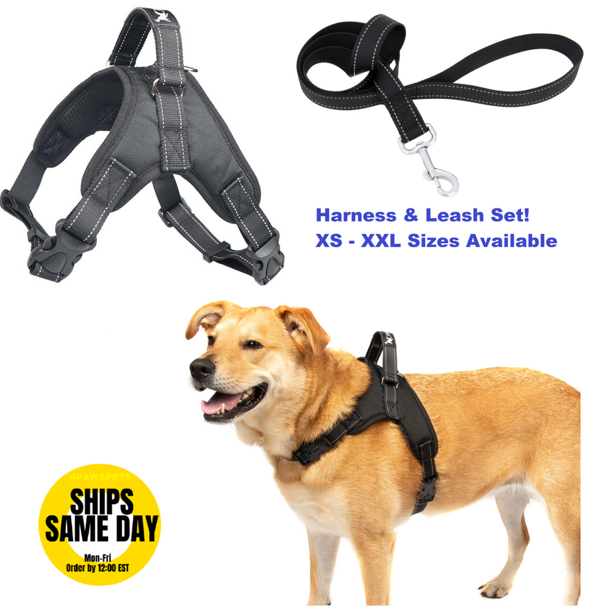 No Pull Adjustable Dog Vest Harness Quality Nylon  PLUS LEASH XS S M L XL XXL