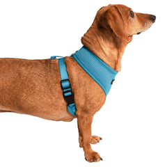 Dog Pet Control Harness Soft Mesh Walk Collar Safety Strap Vest Puppy Cat XS S M