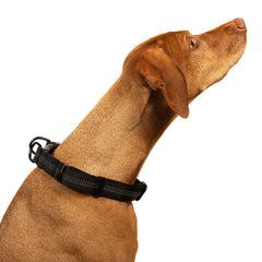 Reflective Nylon Dog Collar with Quick Release Buckle, 5 Colors, Adjustable M L