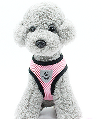 2-Pack Mesh Padded Soft Puppy Pet Dog Harness Breathable Comfortable  S M L