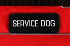 Service Dog Vest Harness Animal Light Weight Reflective Adjustable XXS - XL- RED