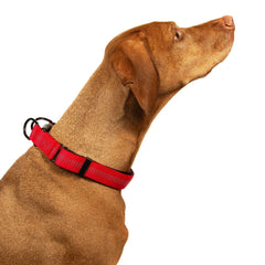 Reflective Nylon Dog Collar with Quick Release Buckle, 5 Colors, Adjustable M L