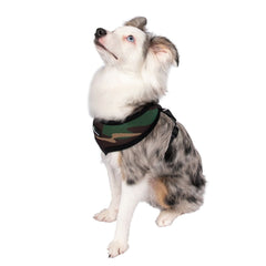 Dog Pet Control Harness Soft Mesh Walk Collar Safety Strap Vest Puppy Cat XS S M