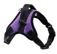 No Pull Adjustable Dog Pet Control Harness Vest in Nylon / Mesh XS-XXL FREE TOY!