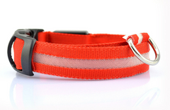 SAFETY LED Dog Pet Light Up Collar Night Glow Adjustable Bright 6 Color XS S L