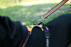 Dog Harness No Pull Pet Harness Adjustable Reflective Vest 100% Oxford Strong L