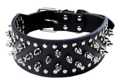 2" Black Metal Spiked Studded Leather Dog Collar Rivet Pitbull Mastif Large L XL