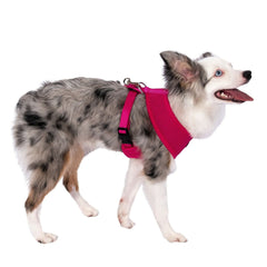 Dog Pet Control Harness Soft Mesh Walk Collar Safety Strap Vest Puppy Cat XS S M