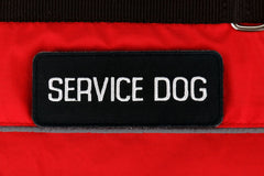 Service Dog Vest Harness Canine Lightweight Reflective Adjustable XXS - XL Sizes