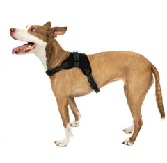 No Pull Adjustable Dog Pet Vest Harness Quality Nylon XS S M L XL XXL Extra Larg