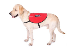 Service Dog Vest Harness Animal Light Weight Reflective Adjustable XXS - XL- RED