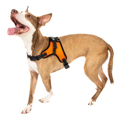 No Pull Adjustable Dog Pet Vest Harness Quality Nylon XS S M L XL XXL Extra Larg