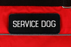 Service Dog Vest Harness Canine Light Weight Reflective Adjustable XXS - XL Size