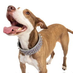 Spiked Studded PU Leather Dog Collar Pit Bull BLACK L XL FOR LARGE BREEDS