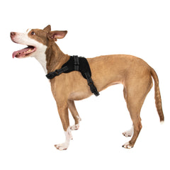 Pet Control Harness for Dog Soft Mesh Walk Large Small Medium XXL Pink Red Black