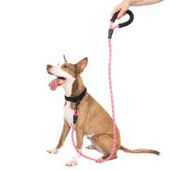 5FT Reflective Dog Leash Nylon with Padded Handle