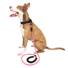 5FT Reflective Dog Leash Nylon with Padded Handle