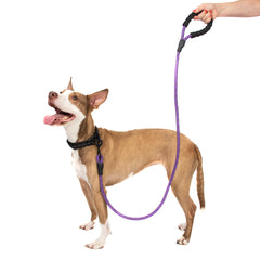 5FT Reflective Dog Leash Nylon with Padded Handle