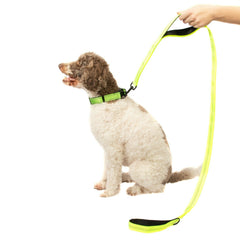 5FT DOUBLE HANDLE Rope Leash Lead Padded Handle Reflective East 2Clip To Harness