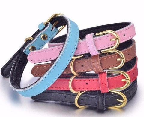 Genuine Soft Leather Dog Pet Collar Padded for Extra Comfort