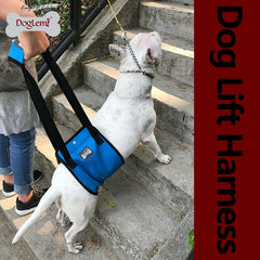 Lift Harness for Large Dogs Weak Hind Legs Elderly Dog Support with Handle S L