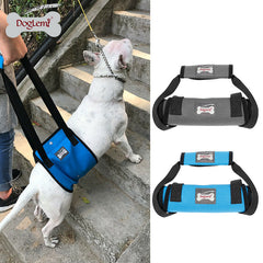 Lift Harness for Large Dogs Weak Hind Legs Elderly Dog Support with Handle S L