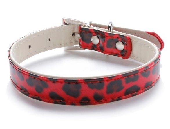 red-leopard