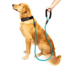 5 FT Strong Dog Leash with Padded Handle