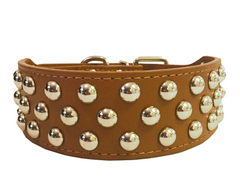 NEW PU Leather Dog Collar Rivets Studs Pit Bull Terrier Pets Large L XL 2" WIDE