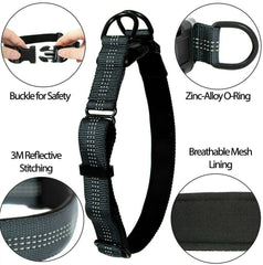 Adjustable Nylon Dog Collar, USA Seller 5 Colors Durable Small Medium Large Dogs