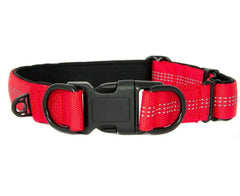 Adjustable Nylon Dog Collar, USA Seller 5 Colors Durable Small Medium Large Dogs