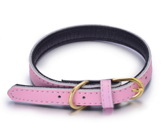 Genuine Soft Leather Dog Pet Collar Padded for Extra Comfort