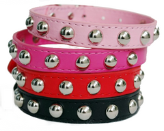 Small Studded Rivet Dog Leather Collar Puppy Cat Terrier Mini XS S M Adjustable