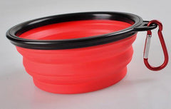 2 Collapsible Travel Dog Food Water Bowls BPA Lead Free Carbiners Red Blue Green