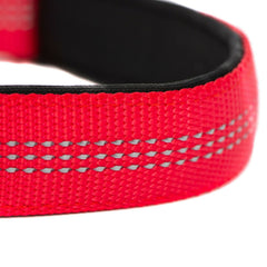 Adjustable Nylon Dog Collar, USA Seller 5 Colors Durable Small Medium Large Dogs