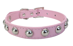 Small Studded Rivet Dog Leather Collar Puppy Cat Terrier Mini XS S M Adjustable