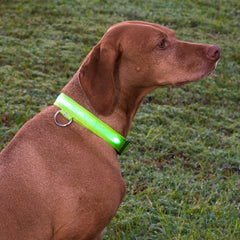 SAFETY LED Dog Pet Light Up Collar Night Glow Adjustable Bright 6 Colors Leash