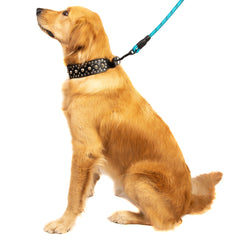 5FT Reflective Dog Leash Nylon with Padded Handle