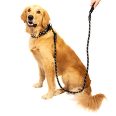 5FT Reflective Dog Leash Nylon with Padded Handle