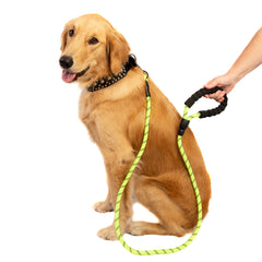 5FT Reflective Dog Leash Nylon with Padded Handle