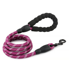 5FT Reflective Dog Leash Nylon with Padded Handle