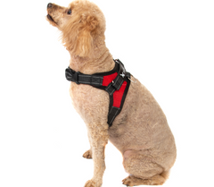 No Pull Adjustable Dog Pet Vest Harness Quality Nylon Small/Medium/Large/XL XXL