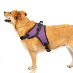 No Pull Adjustable Dog Pet Vest Harness Quality Nylon Small/Medium/Large/XL XXL